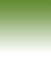 overlayimage
